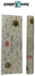  Betisoare Parfumate HEM Uplifting - 15 g - Parfumul Energiei Pozitive - Incense Sticks - 1 Set