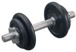 AB-FIT Дъмбел 10 кг (dbs-10)