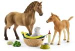 Schleich Set de ingrijire pentru animale, Horse Club, Schleich 42432 (42432S) Figurina