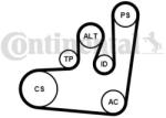 Continental Ctam Set curea transmisie cu caneluri CONTINENTAL CTAM 6PK1145K1 (6PK1145K1) - automobilus
