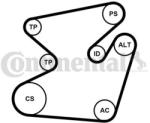 Continental Ctam Set curea transmisie cu caneluri CONTINENTAL CTAM 6PK1950K1 (6PK1950K1)