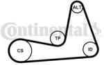 Continental Ctam Set curea transmisie cu caneluri CONTINENTAL CTAM 6PK1130K1 (6PK1130K1) - automobilus