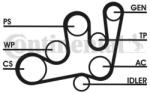 Continental Ctam Set curea transmisie cu caneluri CONTINENTAL CTAM 6PK1642D2 (6PK1642D2)
