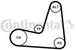 Continental Ctam Set curea transmisie cu caneluri CONTINENTAL CTAM 5PK1135K1 (5PK1135K1)