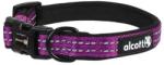alcott Adventure collar - нашийник за куче Адвенчър, лилав, размер S: 25-35 см обикока, ширина на лентата: 1, 5 см - CLSMPL