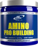 Pro Nutrition Amino Pro Building (200 tab. )