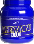 Pro Nutrition Whey Amino 3000 (300 tab. )