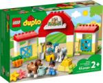 LEGO® DUPLO® - Town Lóistálló és pónigondozás (10951)