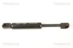 TRISCAN Amortizor capota TRISCAN 8710 28105 (8710 28105) - automobilus