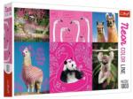 Trefl Puzzle Trefl din 1000 de piese - Animale (10594) Puzzle