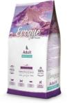 Evoque Cat Adult White Fish with Fruits & Vegetables (2 x 8 kg) 16 kg