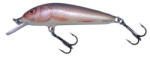 Salmo Vobler Salmo Minnow M7F RR plutitor 7 cm/6 gr (84427130)