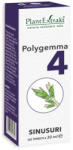 PlantExtrakt Polygemma nr. 4 - Sinusuri