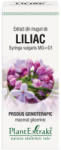 PlantExtrakt Extract din muguri de liliac (SYRINGA VULG. )