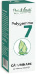 PlantExtrakt Polygemma nr. 7 - Cai urinare