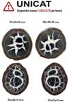  Septaria Maroc Mineral Natural - 50-55 x 43-51 x 11-15 mm - ( XXL)