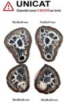  Septaria Maroc Mineral Natural - 55-71 x 48-55 x 15-24 mm - ( XXL)