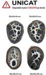  Septaria Maroc Mineral Natural - 45-48 x 42-46 x 13-15 mm - ( XXL) - concepttropic - 18,00 RON