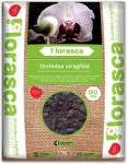 Florasca 3L Orchidea bio virágföld (049-434100)