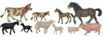 Miniland Set animale domestice cu pui Miniland, 10 figurine (ML27430) Figurina
