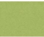 As Creation Tapet Beton verde