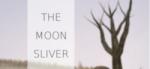 David Szymanski The Moon Sliver (PC)