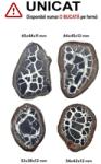  Septaria Maroc Mineral Natural - 53-65 x 38-45 x 11-13 mm - ( XXL)