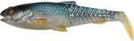 Savage Shad SAVAGE CRAFT Cannibal, 6.5cm, 4g, Roach, 4 Buc. /Plic (F1.SG.71795)