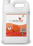  Kinactiv Fruit 1L