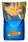 DEKALB Seminte de porumb Dekalb DKC 4351, FAO 290, 80.000 boabe