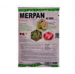 ADAMA Fungicid Merpan 80 WDG 1kg