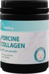 Vitaking Porcine Collagen (300 gr. )