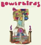 Bowerbirds Becalmyounglovers (teal Vinyl)