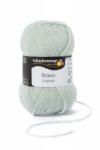 Schachenmayr Bravo - Menta - 8359