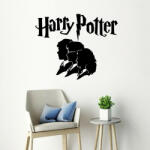  Sticker perete Harry Potter