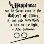  Sticker perete Mesaj Albus Dumbledor