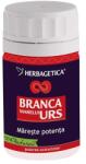 Herbagetica Branca marelui urs 60cps