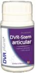 DVR Pharm DVR Stem articular 60cps
