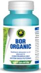 Hypericum, Romania Bor Organic 60cps (cutie)