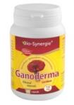 Bio-Synergie Ganoderma x 60 cps 1+1 gratis