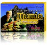Damar General Trading Extract Rasina Mumie x 60 tb