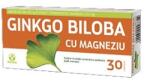 Biofarm Ginkgo Biloba 40mg + Magneziu 150mg 30cpr