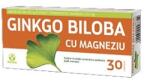 Biofarm, Romania Ginkgo Biloba 40mg + Magneziu 150mg 30cpr