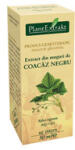 PlantExtrakt, Romania Extract de Muguri de Coacaz Negru