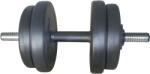 Actuell Fitness Дъмбел 10 кг. с пластмасови дискове (dbs2551-10)