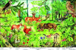 Stiefel Az erdő életközössége faléces tabló (4403122)