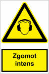  Sticker indicator Zgomot intens
