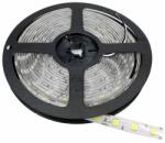  BANDA LED 5050 60 SMD/m 6000K -IMPERMEABIL (41-BAN)