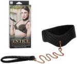 CalExotics Posture Collar With Leash
