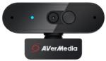 AVerMedia PW310P Camera web